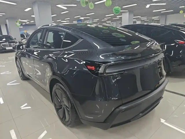 Tesla Model Y — Фото автомобиля 4