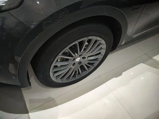 Leapmotor C11 — Фото автомобиля 22