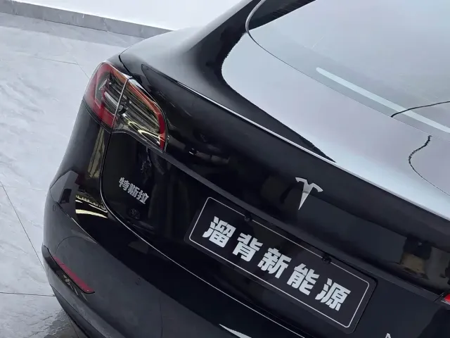 Tesla Model 3 2022 Model Rear-Wheel Drive Version — Фото автомобиля 17