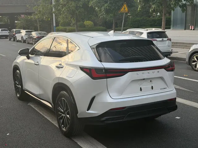 Lexus NX — Фото автомобиля 13