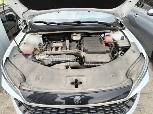 BYD Qin PLUS — Фото автомобиля 15