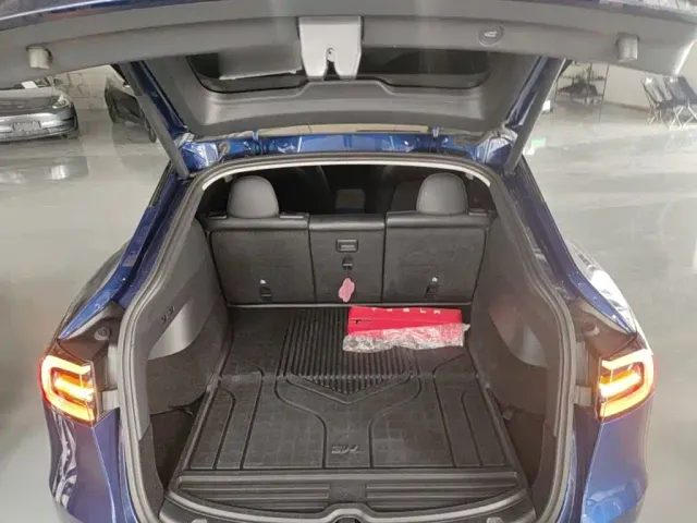 Tesla Model Y 2021 Performance High-Performance AWD — Фото автомобиля 18