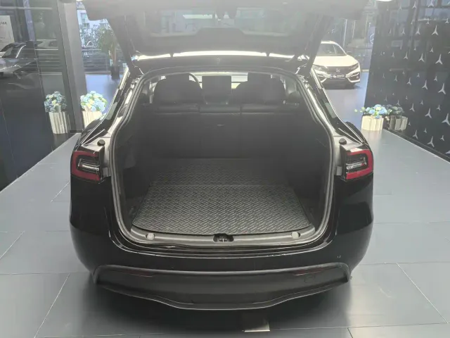 Tesla Model Y — Фото автомобиля 10