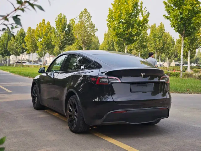 Tesla Model Y — Фото автомобиля 16