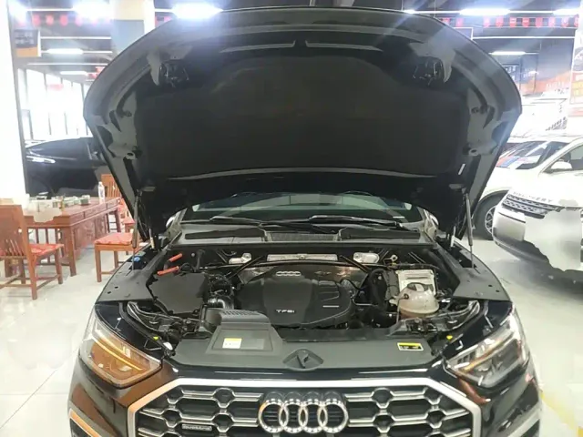 Audi Q5L — Фото автомобиля 19