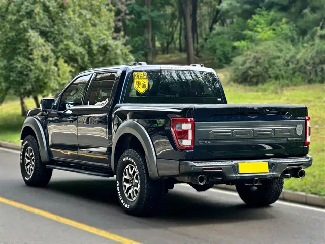 Ford F-150 Raptor — Фото автомобиля 3