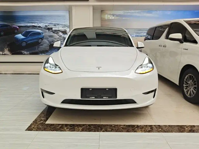 Tesla Model Y — Фото автомобиля 2