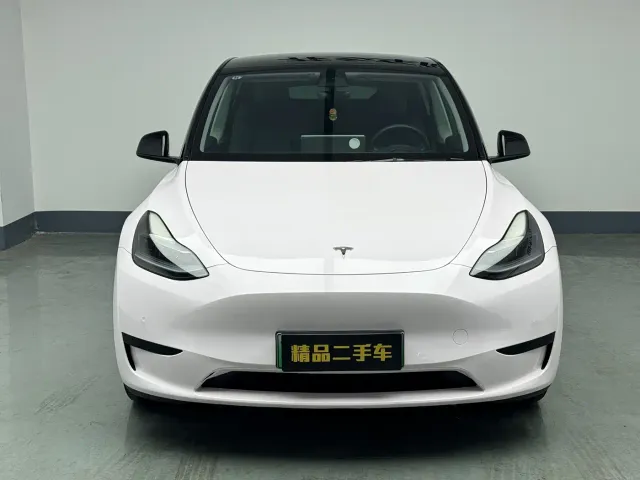 Tesla Model Y — Фото автомобиля 3