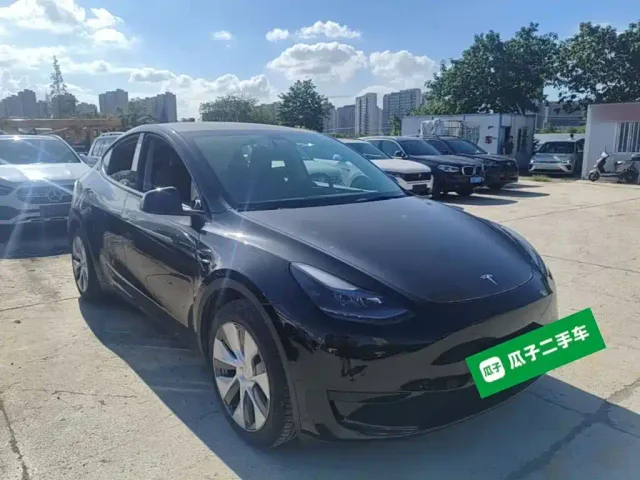 Tesla Model Y — Фото автомобиля 3