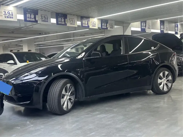 Tesla Model Y — Фото автомобиля 2