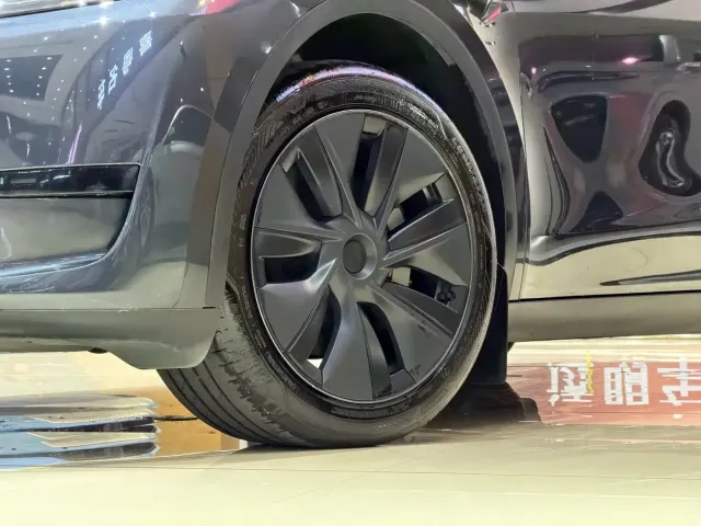 Tesla Model Y — Фото автомобиля 19