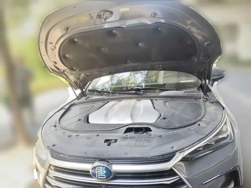 BYD Tang New Energy 2021 DM-i 112KM Honor — Фото автомобиля 9