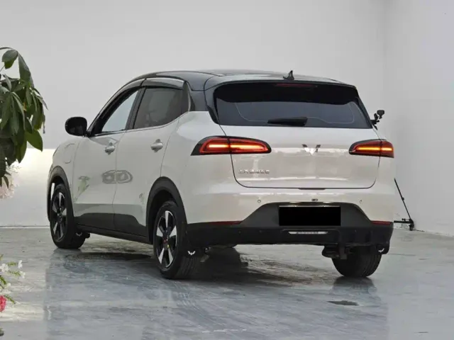 Wuling Binguo PLUS — Фото автомобиля 3