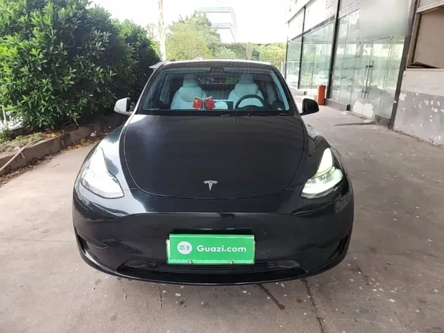 Tesla Model Y — Фото автомобиля 2