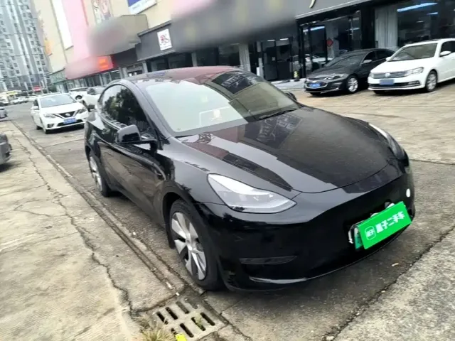 Tesla Model Y 2021 Standard Range Rear-Wheel Drive — Фото автомобиля 3