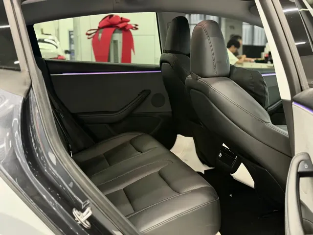 Tesla Model 3 — Фото автомобиля 10