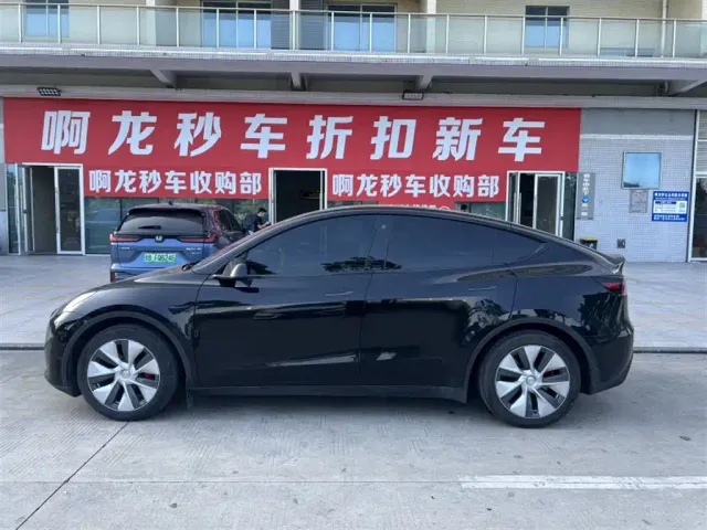 Tesla Model Y — Фото автомобиля 3