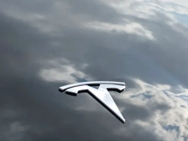 Tesla Model Y — Фото автомобиля 19