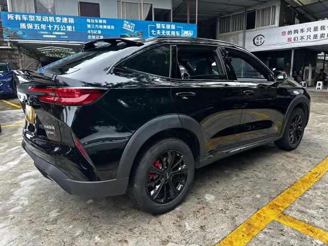 Haval H6S — Фото автомобиля 15