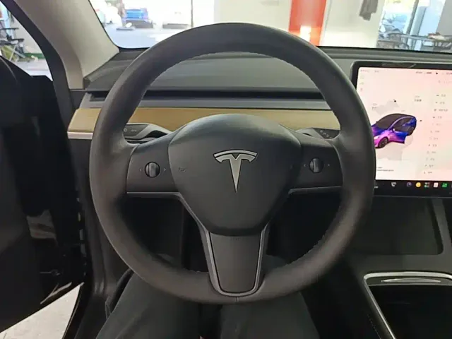 Tesla Model Y — Фото автомобиля 10