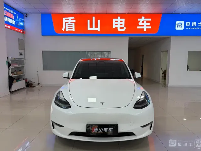Tesla Model Y — Фото автомобиля 2