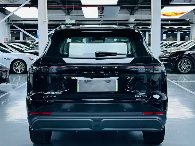 Chery Fulwin T9 — Фото автомобиля 14