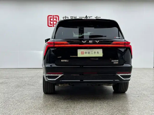 Wey Lanshan — Фото автомобиля 4