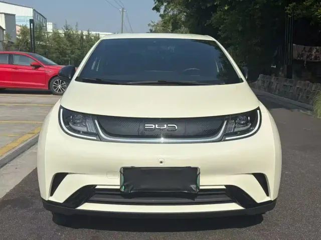 BYD Dolphin — Фото автомобиля 2