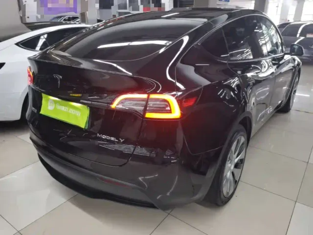 Tesla Model Y — Фото автомобиля 6