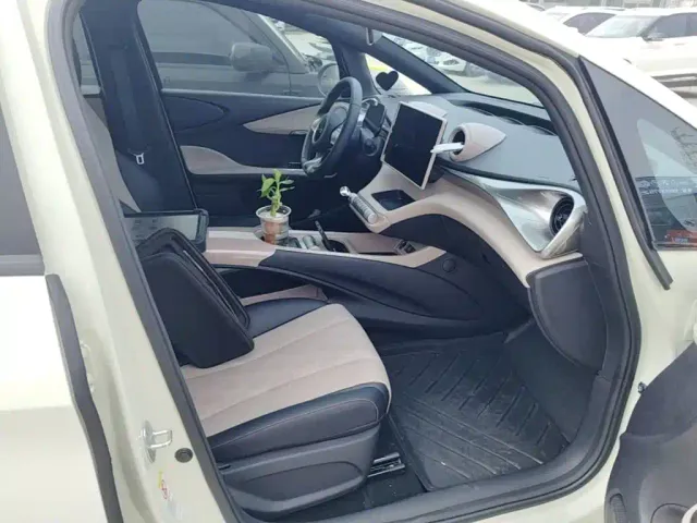 BYD Dolphin — Фото автомобиля 24