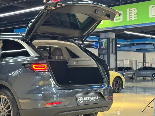 Leapmotor C11 — Фото автомобиля 21