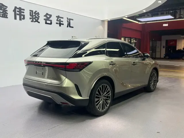 Lexus RX — Фото автомобиля 17