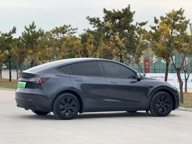 Tesla Model Y — Фото автомобиля 20
