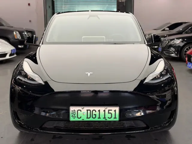 Tesla Model Y — Фото автомобиля 2