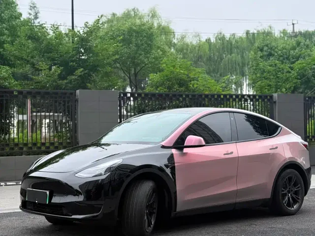 Tesla Model Y — Фото автомобиля 2
