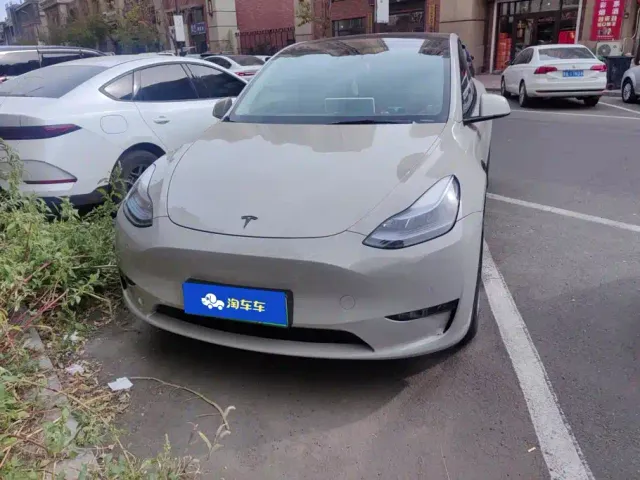 Tesla Model Y — Фото автомобиля 2