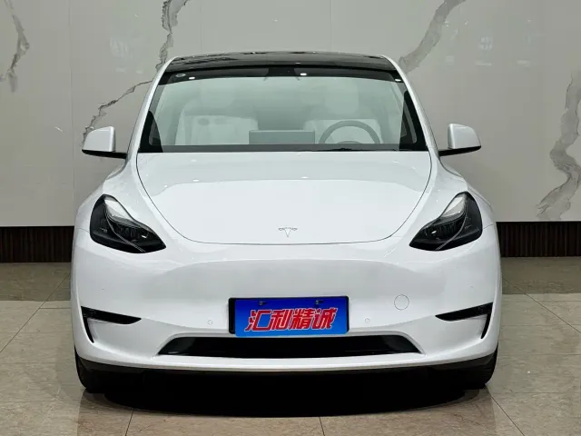 Tesla Model Y — Фото автомобиля 2