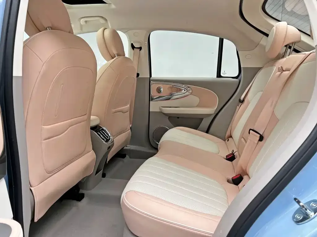 Ora Ora Ballet Cat 2022 401km Nutcracker Edition — Фото автомобиля 16