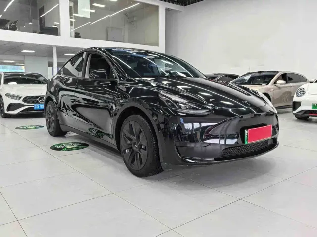 Tesla Model Y — Фото автомобиля 3