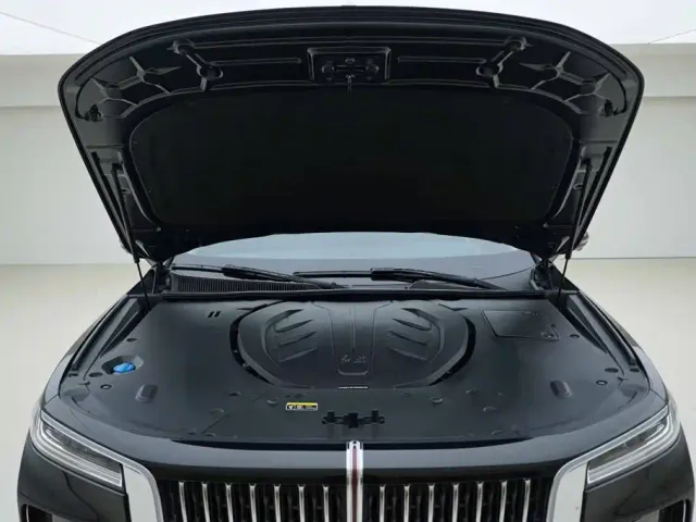 Hongqi H9 — Фото автомобиля 6