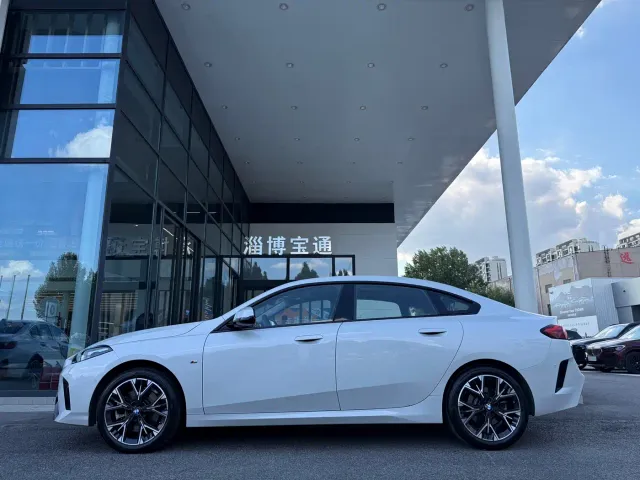 BMW 2 Series — Фото автомобиля 10