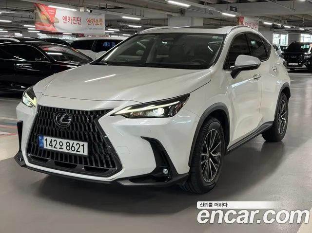 Lexus NX — Фото автомобиля 2