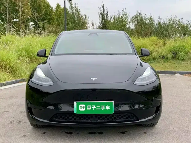 Tesla Model Y — Фото автомобиля 2