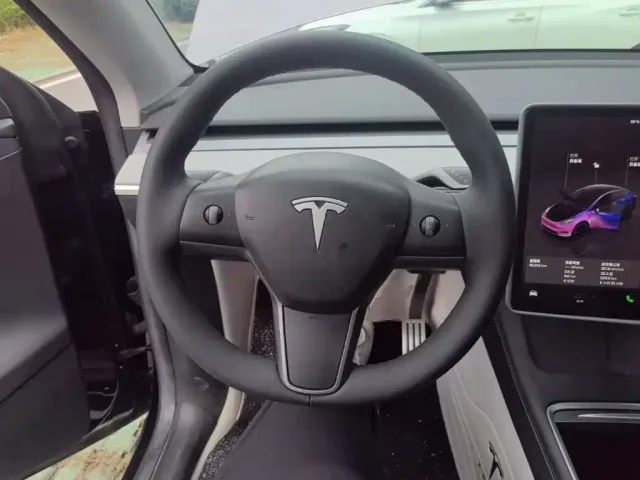 Tesla Model Y — Фото автомобиля 10