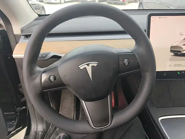 Tesla Model Y — Фото автомобиля 10
