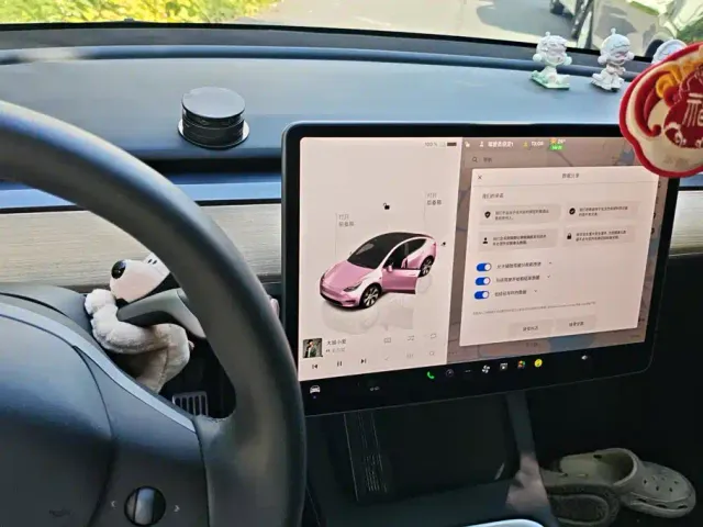 Tesla Model Y — Фото автомобиля 14