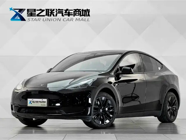 Tesla Model Y — Фото автомобиля 2