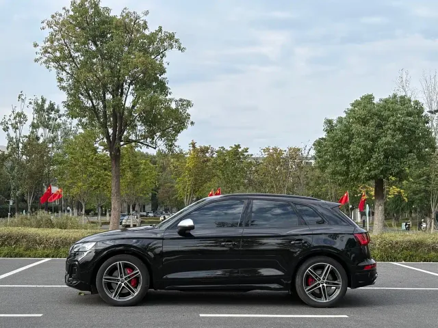 Audi SQ5 — Фото автомобиля 7