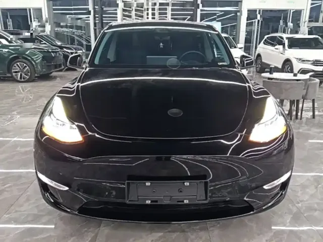 Tesla Model Y — Фото автомобиля 2
