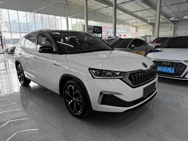 Skoda Kamiq — Фото автомобиля 3